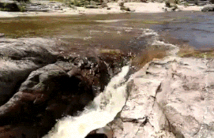 alexeykiyanitsa  GIF