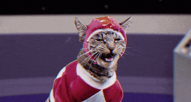 mighty morphin power rangers cat GIF by Power Rangers