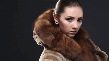 benoitvandenbroeck animal rights bont dierenleed bontkraag GIF