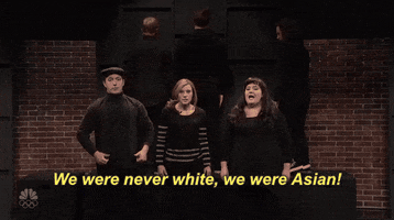 we were never white snl GIF by Saturday Night Live