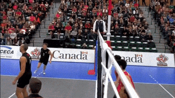 volleyball GIF by CBC