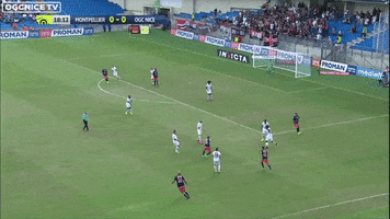 ridhapaix  GIF