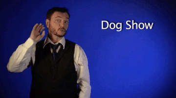dog show asl GIF by Sign with Robert