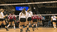 Volleyball Shorts Gif