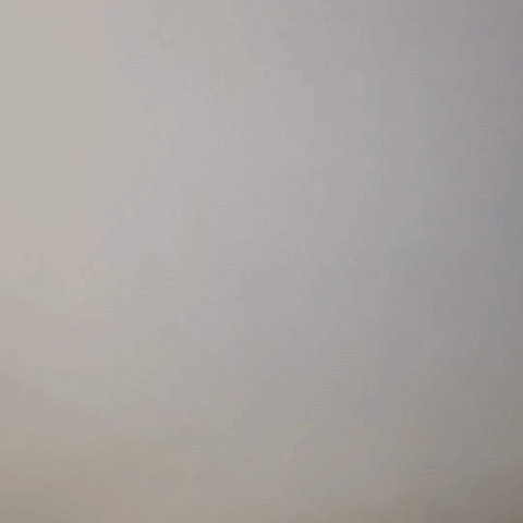 Loop Laugh GIF by xavieralopez