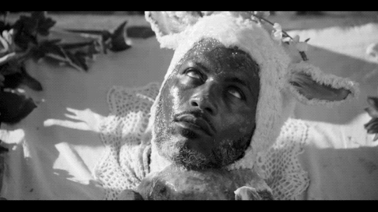 Sacrificial Goat Gifs Get The Best Gif On Giphy