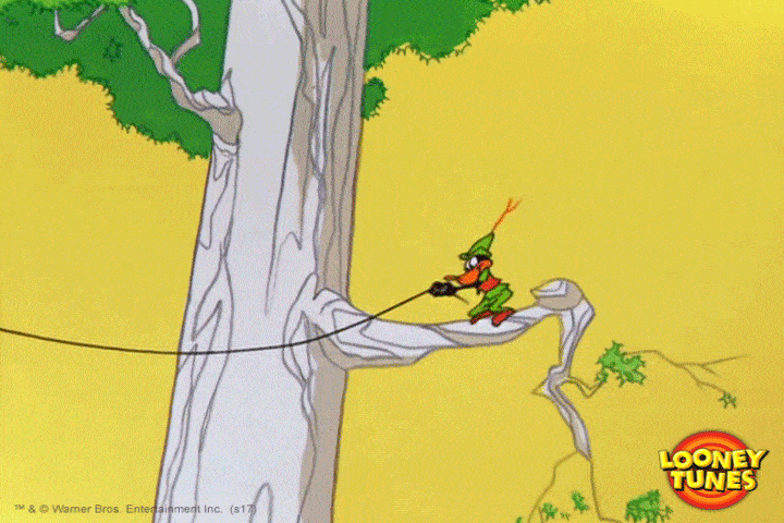 Fail Robin Hood GIF by Looney Tunes - Find & Share on GIPHY