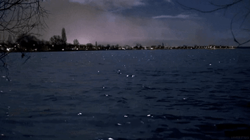 hamoudi  GIF