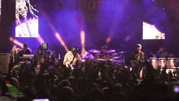 hands up festival GIF by Slightly Stoopid
