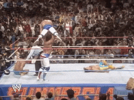 WWE sports wwe wrestling 1988 GIF