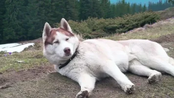 200.webp