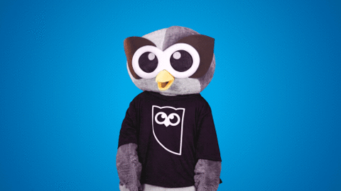 Look Down GIF by Hootsuite - Find & Share on GIPHY