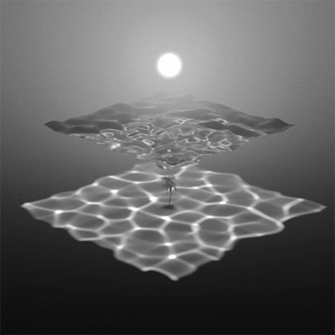 Https Giphy Com Gifs Scared Cheezburger Catcats 102hls0czh7zro 2017 03 26t08 36 30 00 00 Weekly 0 8 Https Media3 Giphy Com Media 102hls0czh7zro Giphy Gif Scared Cat Gif Https Giphy Com Gifs Sandwich Ham Rancor 10h6eh2t4h7p4a 2016 05