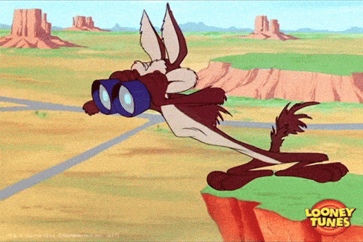 Confused Looking For GIF by Looney Tunes