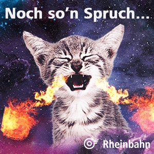 Rheinbahn cat dealwithit daumenrunter catcontent GIF