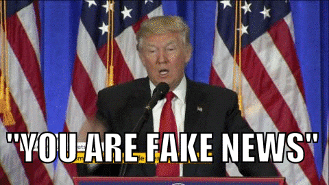 donald trump GIF by franceinfo - donald trump GIF by franceinfo