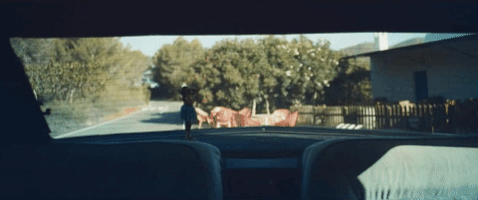 200.gif?cid=fc005b089f1fecee489dbfdb526f1bf7b3f41904ef9bb9d1&rid=200.gif&ct=g