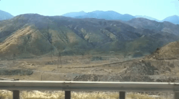 lucky ponderosa GIF by A Giant Dog