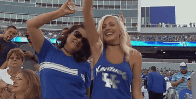 Fans Uk GIF