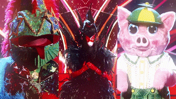 Season 5 Mask GIF by The Masked Singer