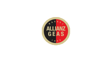 Basket Allianz Sticker by Acerbis Italia