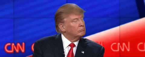 Donald Trump Whatever GIF by Mashable - Find & Share on GIPHY