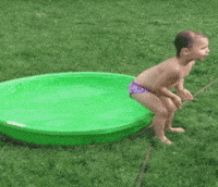 Funny-videos GIFs - Get the best GIF on GIPHY