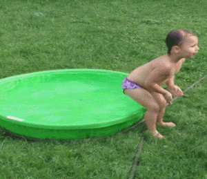 Funny-videos GIFs - Get the best GIF on GIPHY
