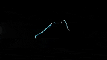 vanderlanthgmailcom  GIF
