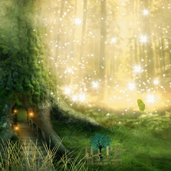 hopeinrecovery gif awesome forest hope GIF