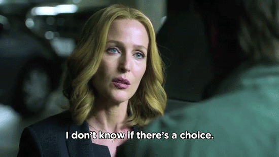 i dont know gillian anderson GIF