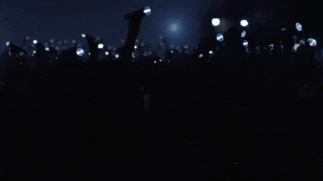 music video flashlight GIF by Republic Records