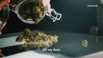 Weed Cannabis GIF by WEEDIQUETTE