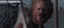 finnfinn  GIF