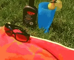 summer lay out GIF