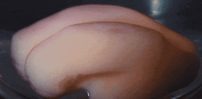 aczewe science brain research harvard GIF