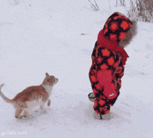 michaelfmarzio  GIF