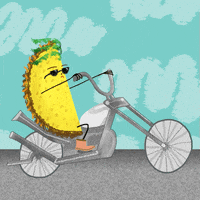 let's go bike GIF by Taco Bell