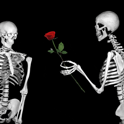 Digital art gif. Skeleton holds out a red rose to another skeleton, from whom a heart pops up in the air.