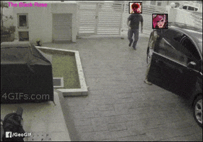 walpurgisnacht  GIF