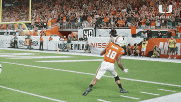 stomp it out college football GIF by Miami Hurricanes