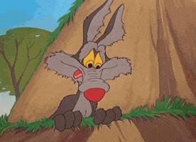 Wile E Coyote Reaction GIF by reactionseditor
