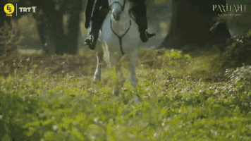 Payitaht Abdulhamit GIF