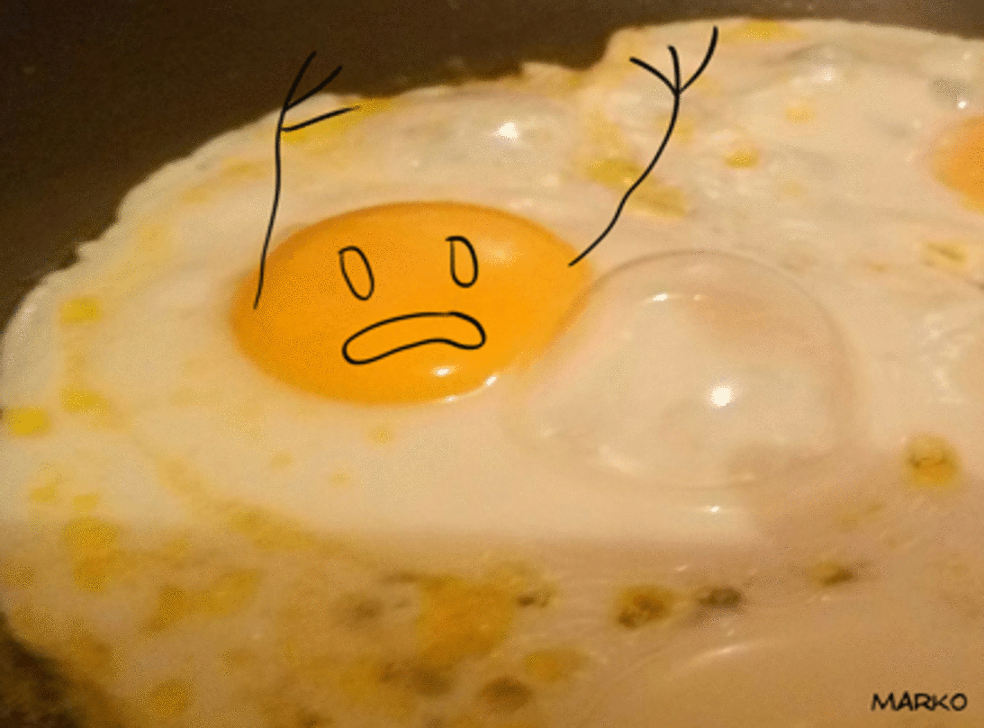 Image result for egg gifs
