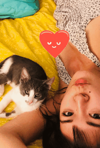 Animated GIF
