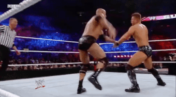 the rock GIF by WWE