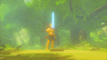 Nintendo Switch Zelda GIF