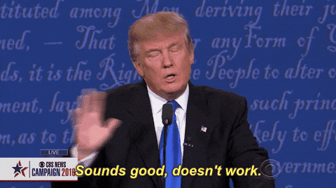 Giphy - Sounds Good Donald Trump GIF by Election 2016
