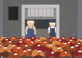 Turkey Farm GIF by South Park