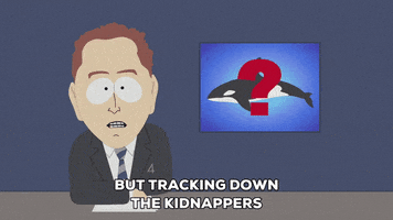 news whale GIF by South Park 